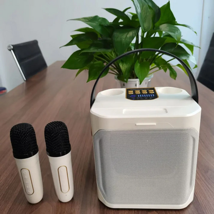 Compact Bluetooth Speaker with Karaoke Feature