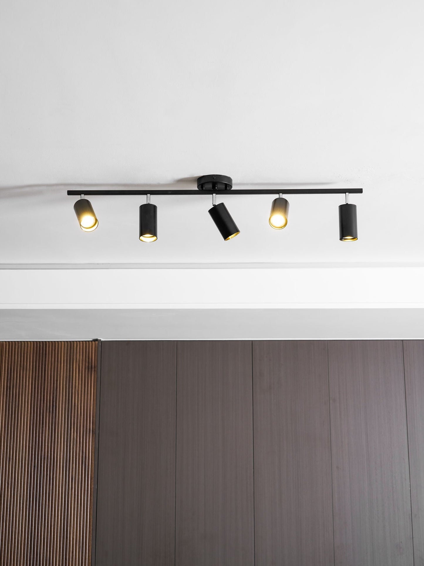 Modern Interior Adjustable Ceiling Lighting Solutions