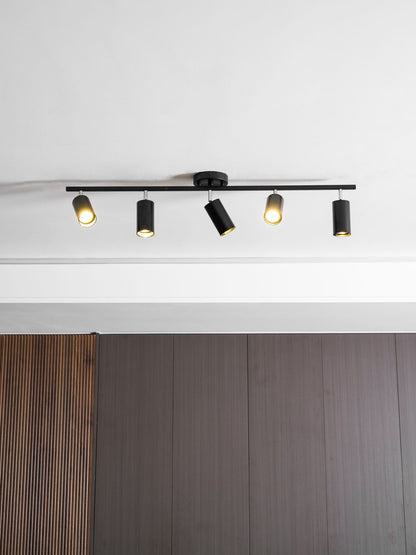 Modern Interior Adjustable Ceiling Lighting Solutions