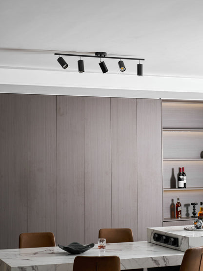Modern Interior Adjustable Ceiling Lighting Solutions