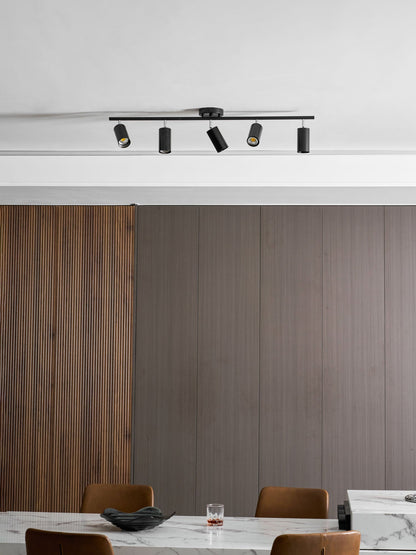 Modern Interior Adjustable Ceiling Lighting Solutions
