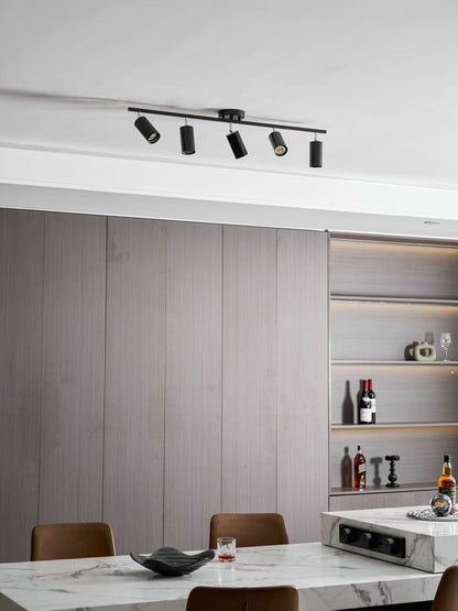 Modern Interior Adjustable Ceiling Lighting Solutions