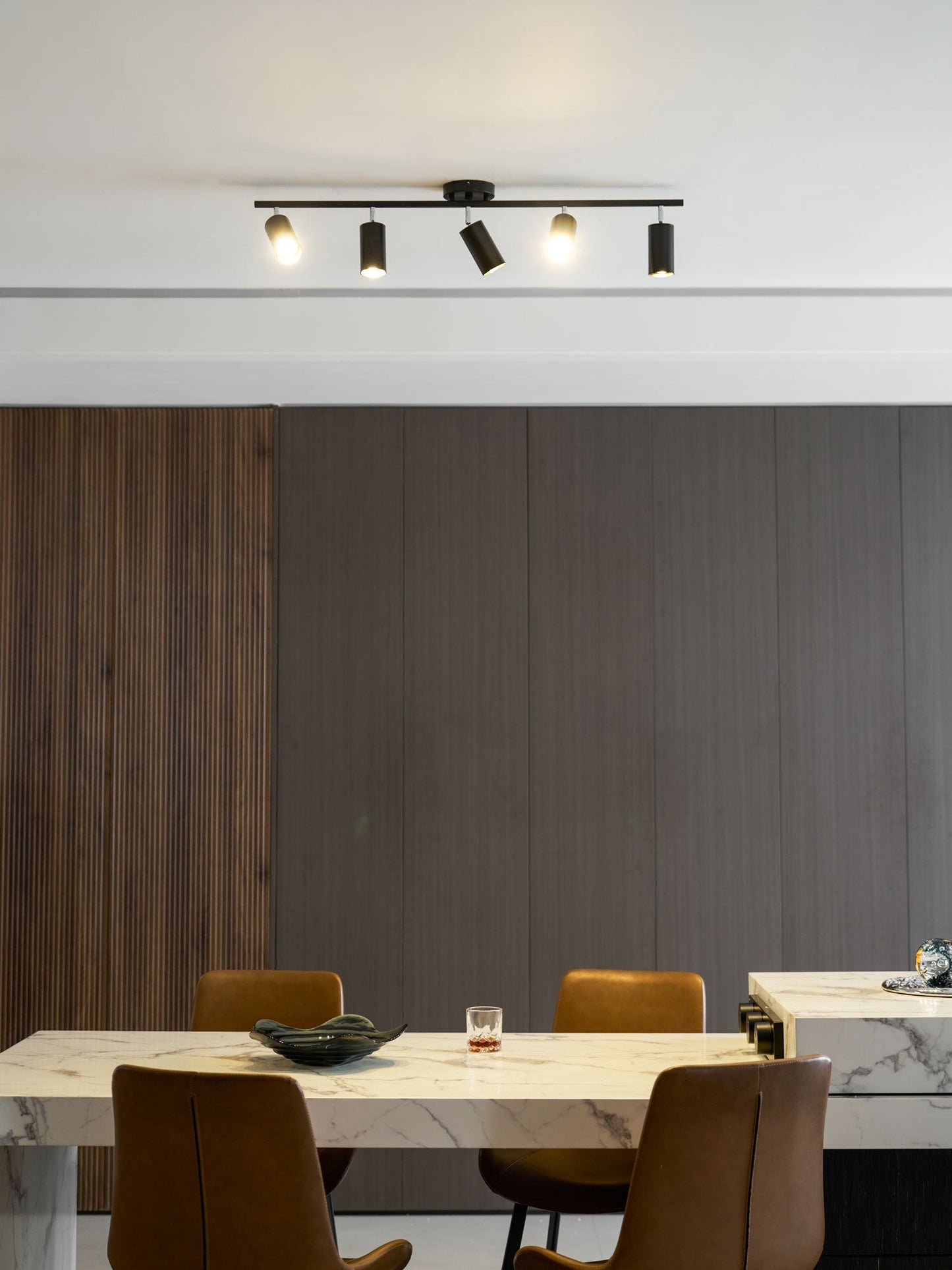 Modern Interior Adjustable Ceiling Lighting Solutions