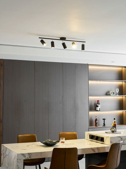 Modern Interior Adjustable Ceiling Lighting Solutions