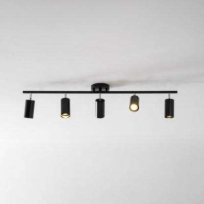 Modern Interior Adjustable Ceiling Lighting Solutions
