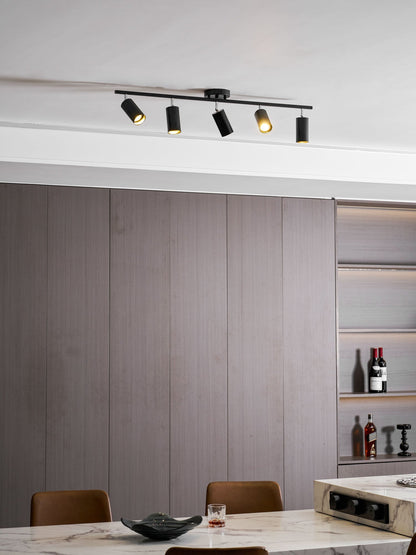 Modern Interior Adjustable Ceiling Lighting Solutions