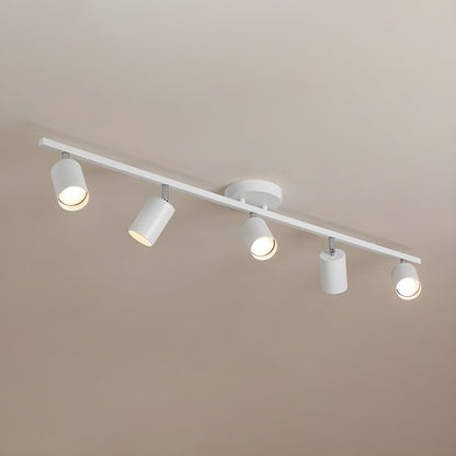 Modern Interior Adjustable Ceiling Lighting Solutions