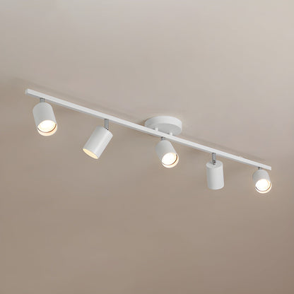 Modern Interior Adjustable Ceiling Lighting Solutions