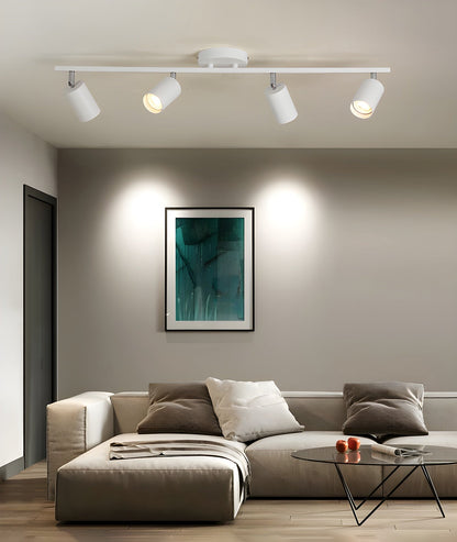 Modern Interior Adjustable Ceiling Lighting Solutions