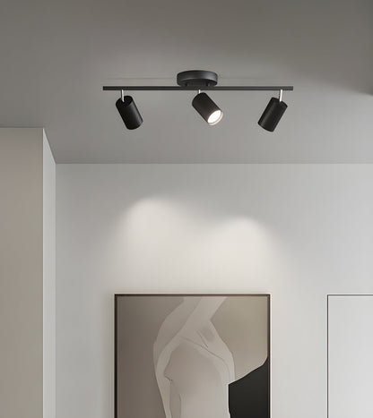 Modern Interior Adjustable Ceiling Lighting Solutions