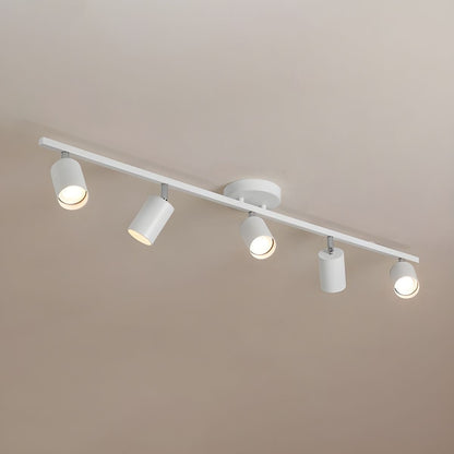 Modern Interior Adjustable Ceiling Lighting Solutions