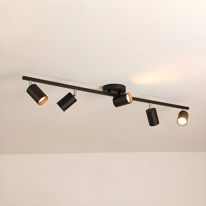 Modern Interior Adjustable Ceiling Lighting Solutions