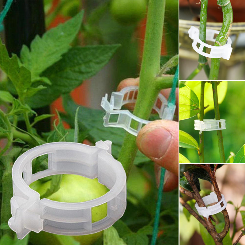 Versatile Plant Support Clips for Healthy Growth – 50/100/150 Pack