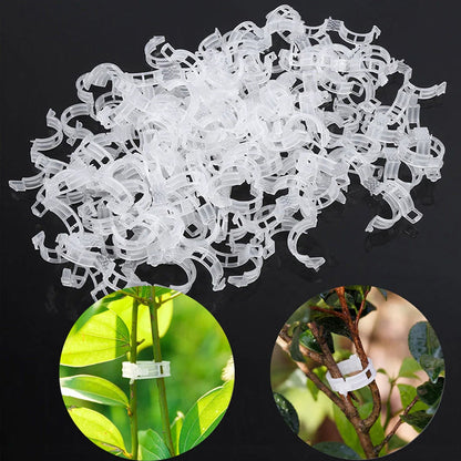 Support Clips for Healthy Plant Growth