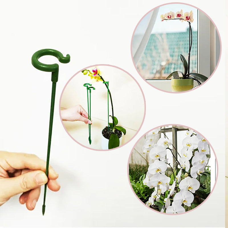 Elegant Stem Support for Thriving Plants