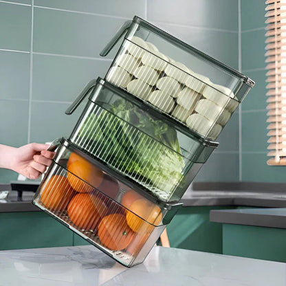 50% Off | Airtight Refrigerator Storage Box – Last Day for Discount