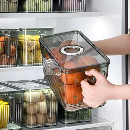 50% Off | Airtight Refrigerator Storage Box – Last Day for Discount