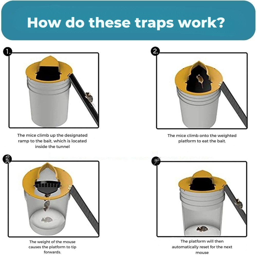 Eco-Friendly Mouse Catcher | Reusable Bucket Trap System
