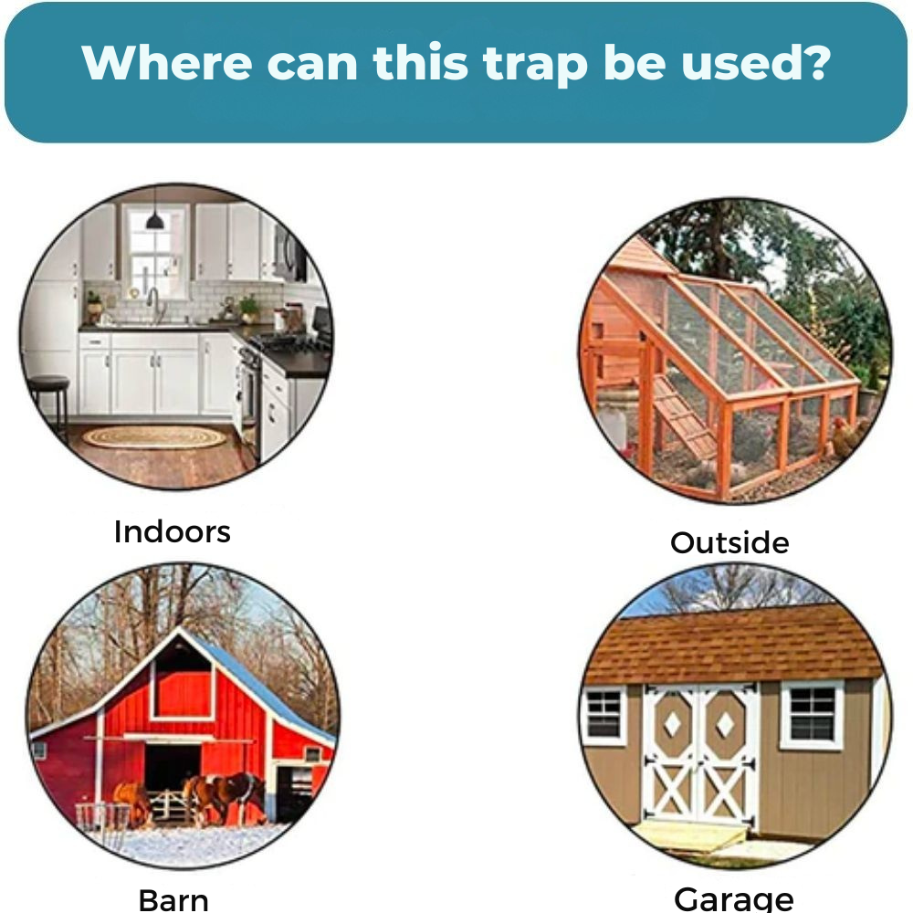 Eco-Friendly Mouse Catcher | Reusable Bucket Trap System