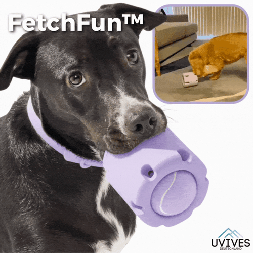 PlayPaws Interactive Tennis Chew Toy for Dogs