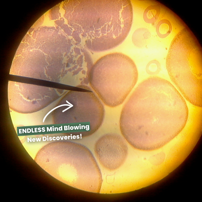 Portable HD Microscope | Explore the Microworld Anywhere