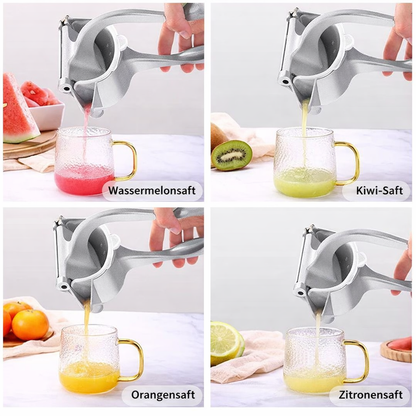 Citrus Master Manual Juicer | Stainless Steel | Easy Grip Handle