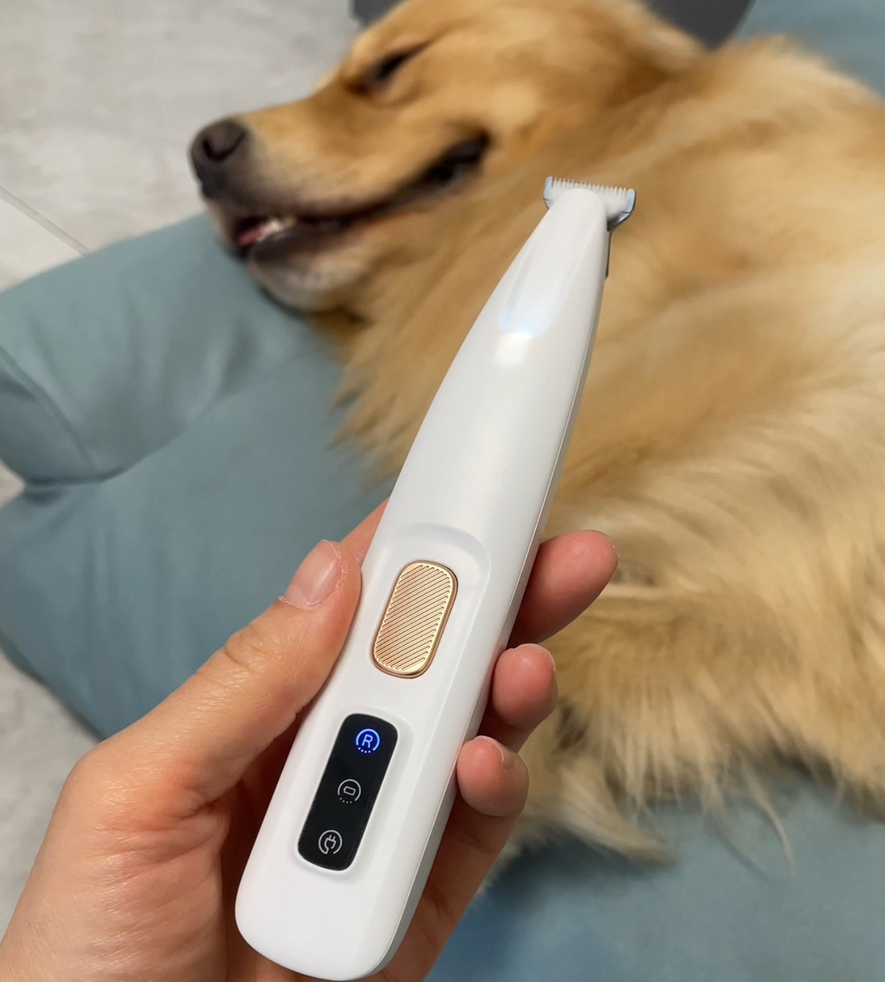 Effortless Coat Care for Happy Pets