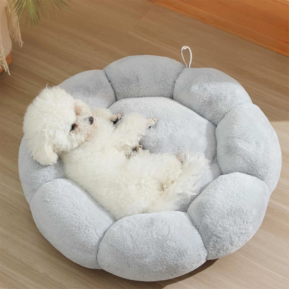 Pet Retreats and Dog Beds in Flower Design