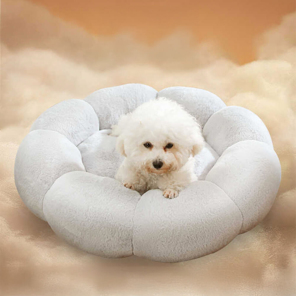 Pet Retreats and Dog Beds in Flower Design
