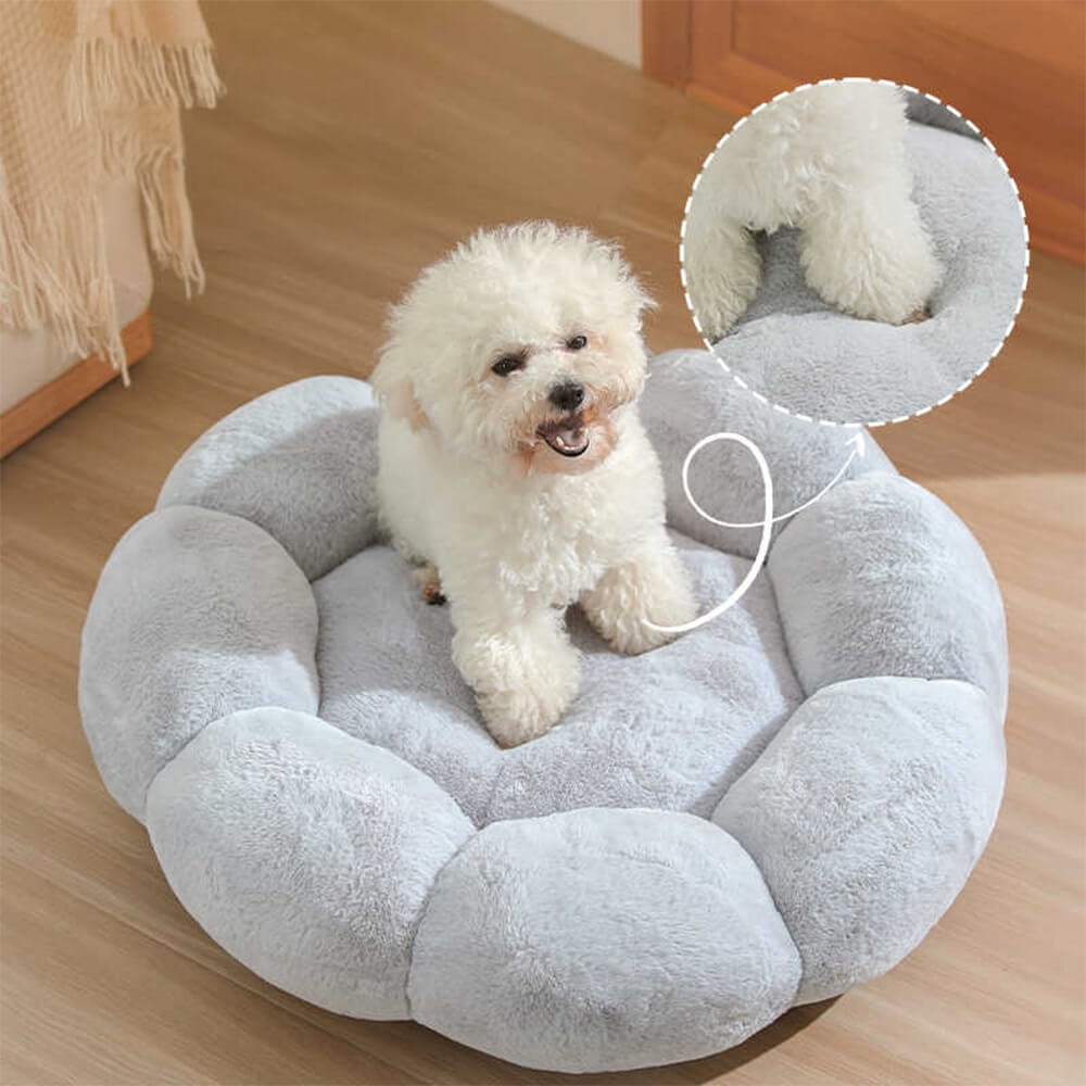 Pet Retreats and Dog Beds in Flower Design