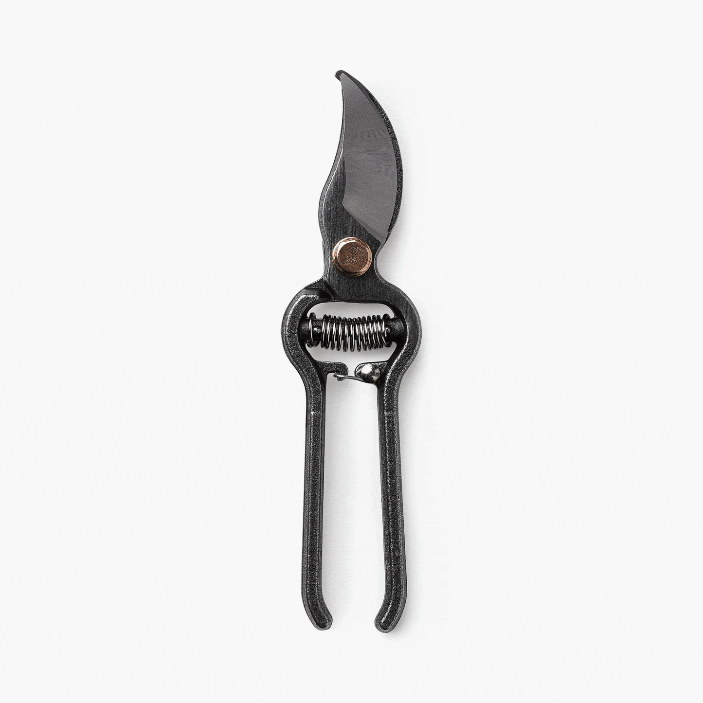 Essential Pruning Toolkit for Garden Enthusiasts