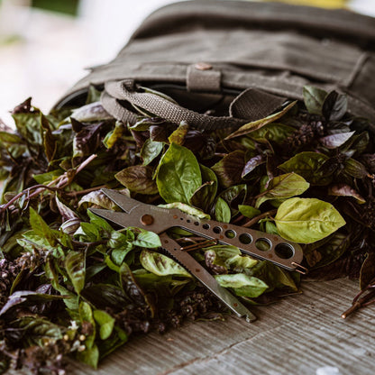 Nature's Bounty Collection