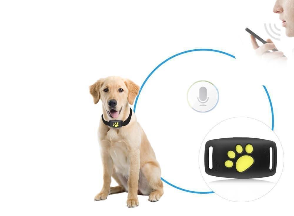 Real-Time GPS Tracker for Cats
