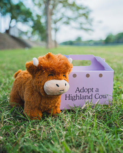 Highland Cow Plush Toy - Great Gift Idea