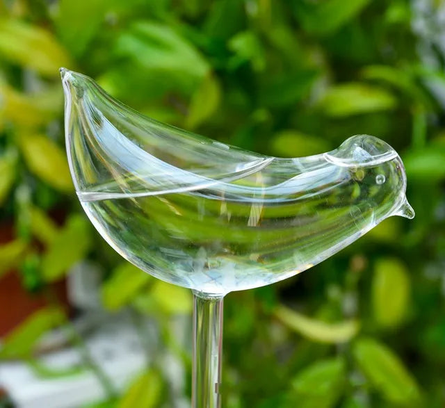 Get 2 Additional Free | Automatic Glass Bird Waterer - Last Day Discount