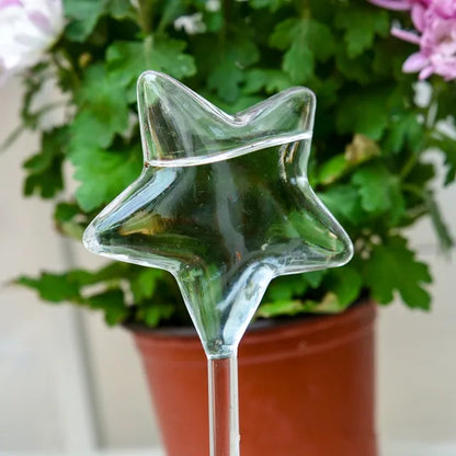 Get 2 Additional Free | Automatic Glass Bird Waterer - Last Day Discount