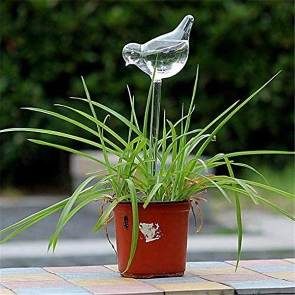 Get 2 Additional Free | Automatic Glass Bird Waterer - Last Day Discount