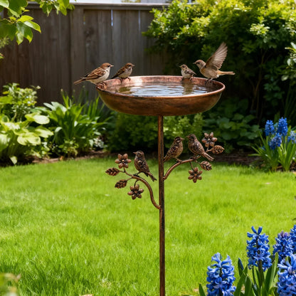Elegant Bird Bath with Sturdy Ground Spike for Your Garden