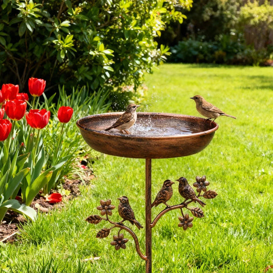 Elegant Bird Bath with Sturdy Ground Spike for Your Garden