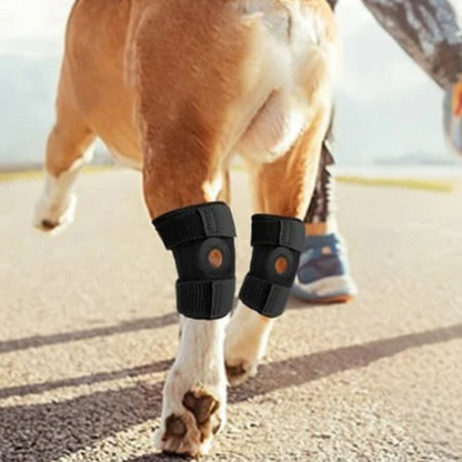 Knee Brace for Dogs - Orthopedic Support for Joint Stability