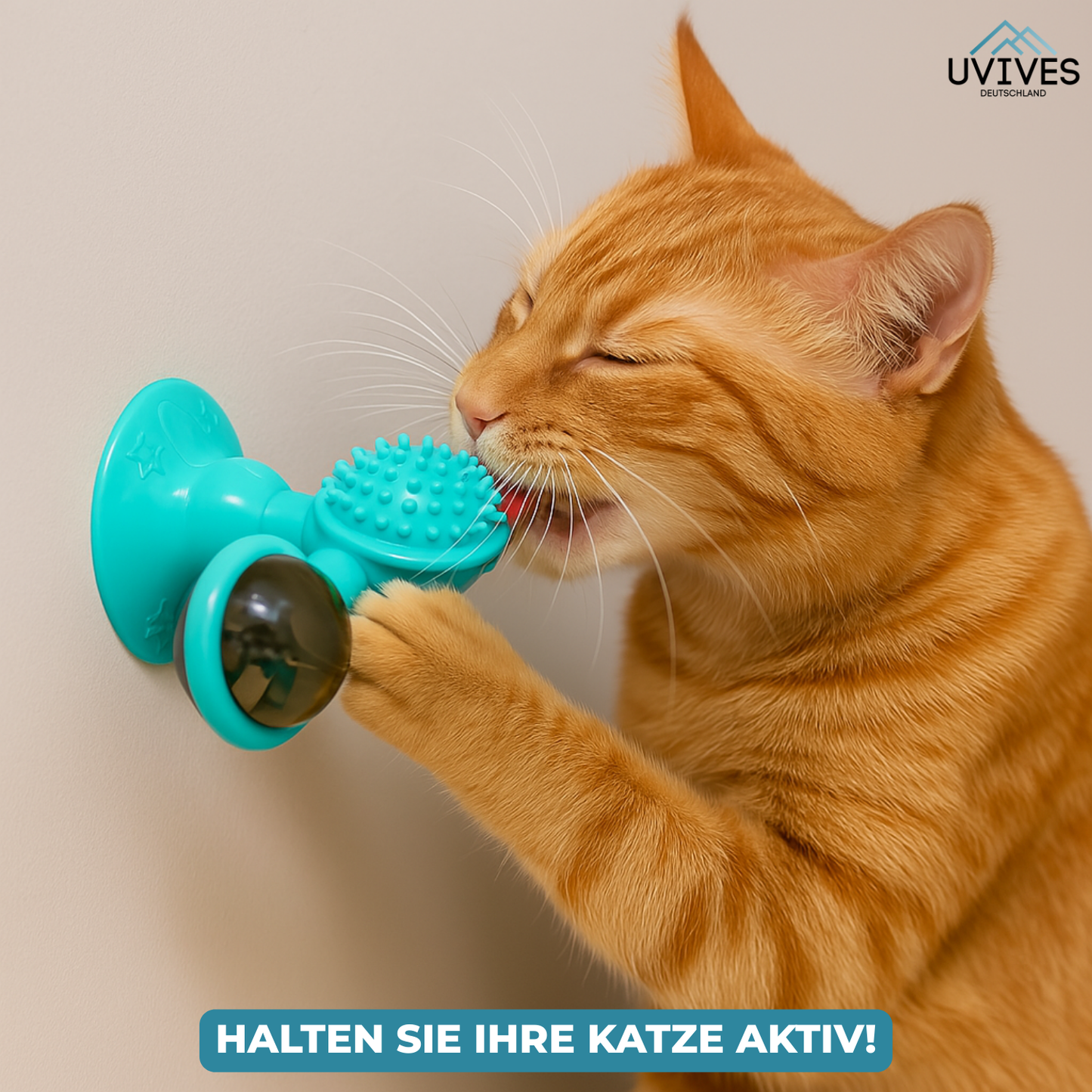 Endless Fun and Exercise for Your Cat