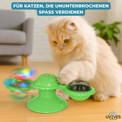 Endless Fun and Exercise for Your Cat
