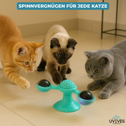Endless Fun and Exercise for Your Cat