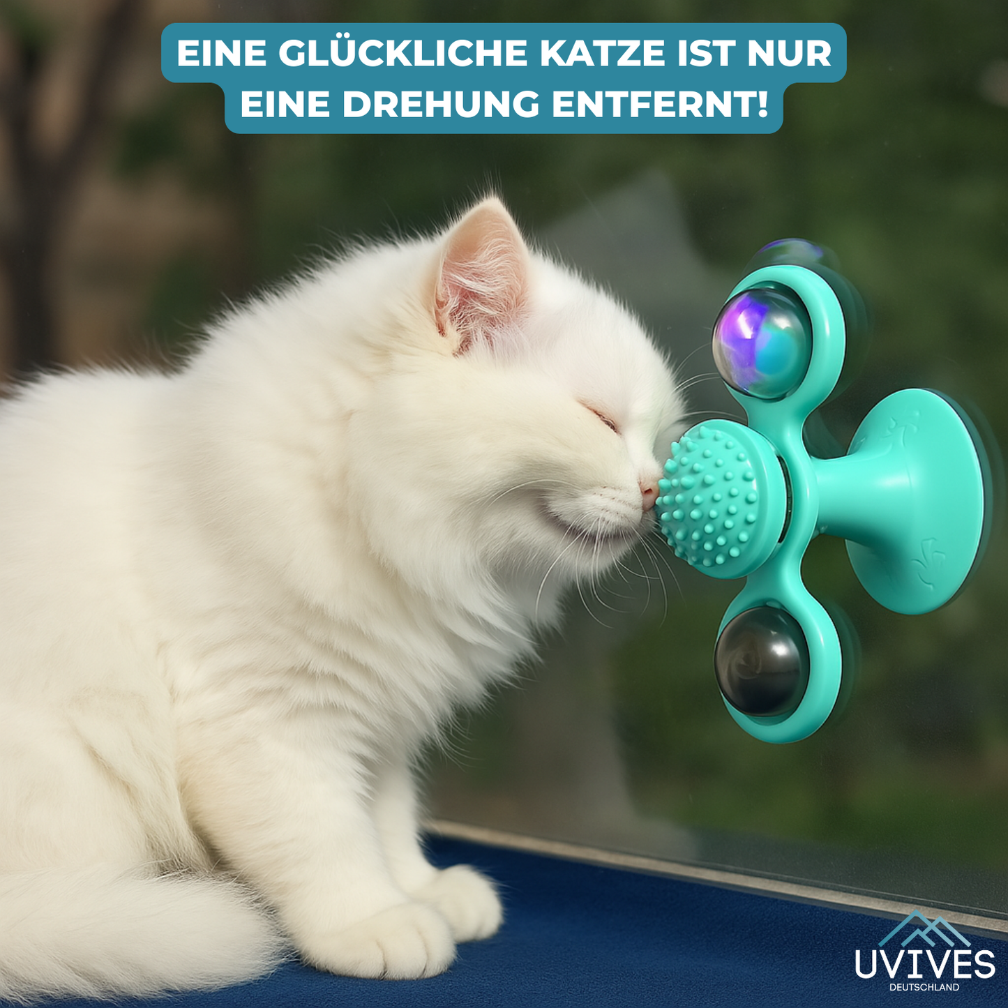 Endless Fun and Exercise for Your Cat