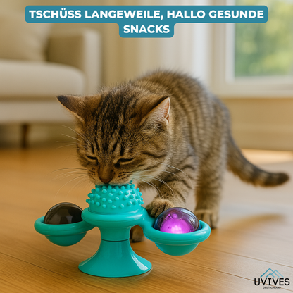 Endless Fun and Exercise for Your Cat