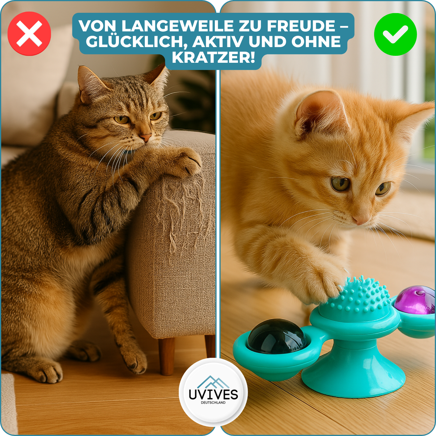 Endless Fun and Exercise for Your Cat