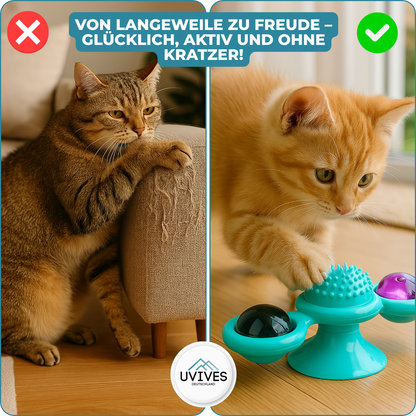 Endless Fun and Exercise for Your Cat