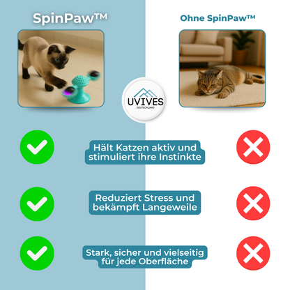 Endless Fun and Exercise for Your Cat