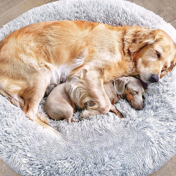 Orthopedic Plush Dog Bed – FluffyNest Comfort Sleeping Cushion