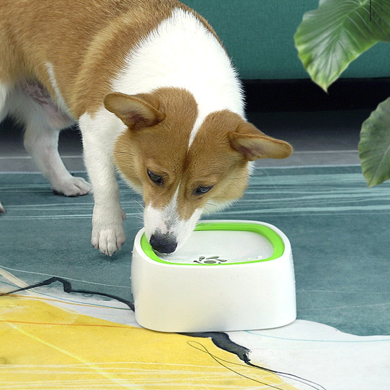 Self-Dispensing Water Fountain for Pets
